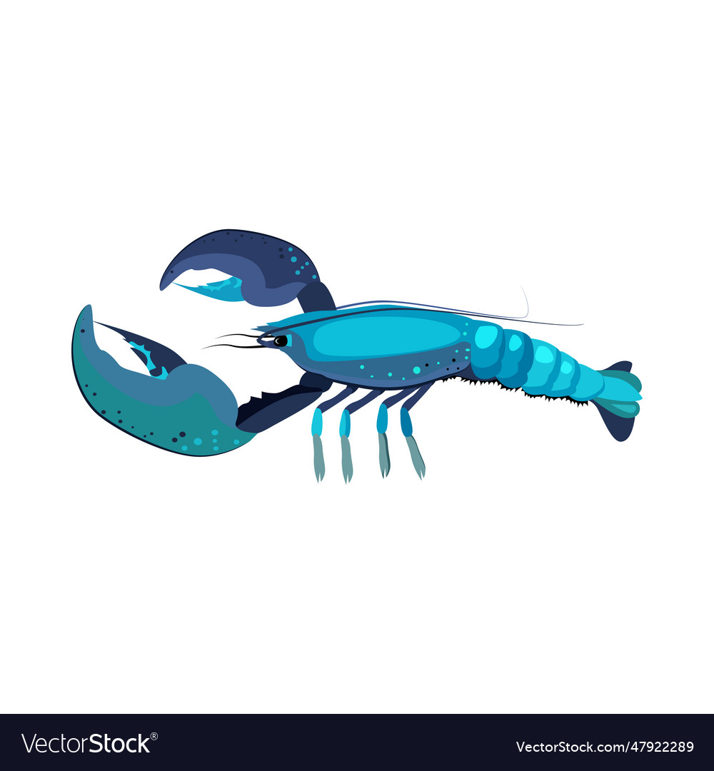 Blue Lobster Royalty Free Vector Image Vectorstock