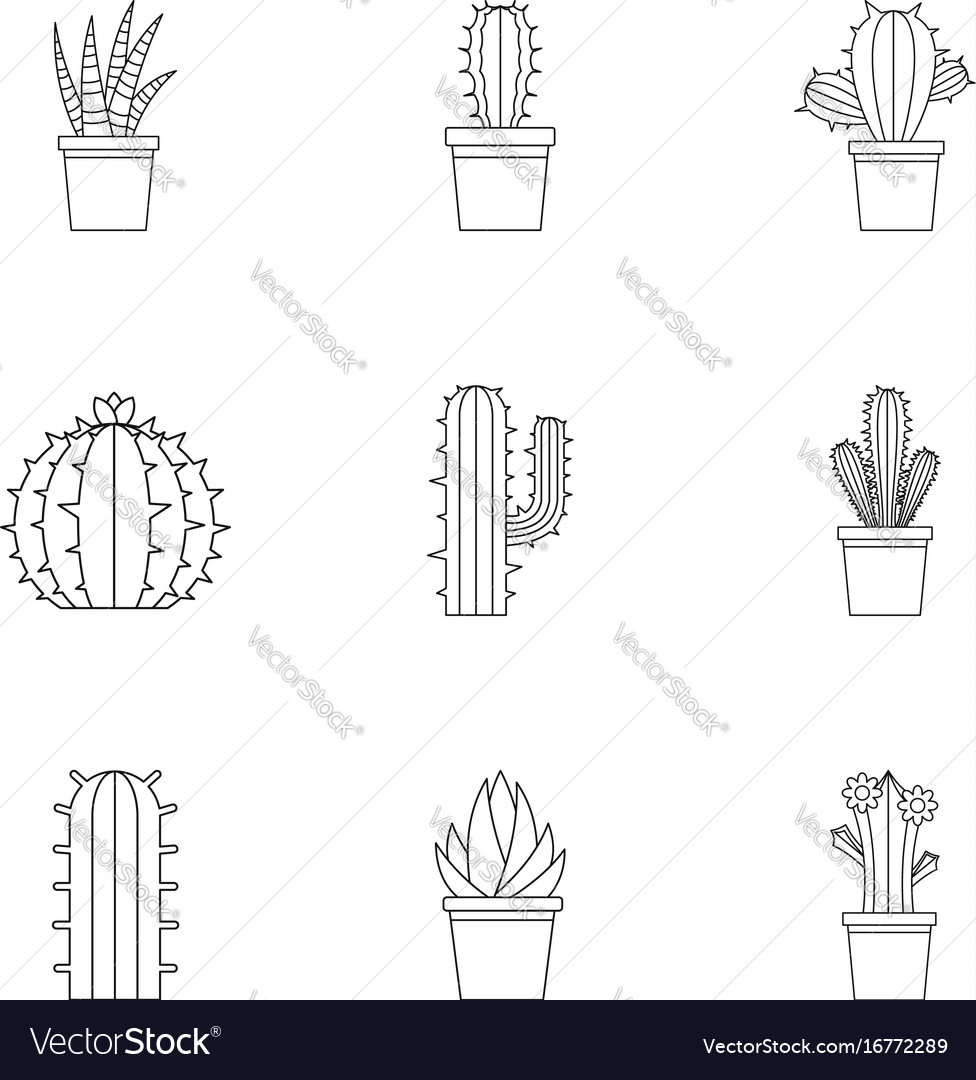 Featured image of post Desert Cactus Line Drawing Finally draw a number of short curved lines at the bottom of each cactus to indicate hardy desert grasses