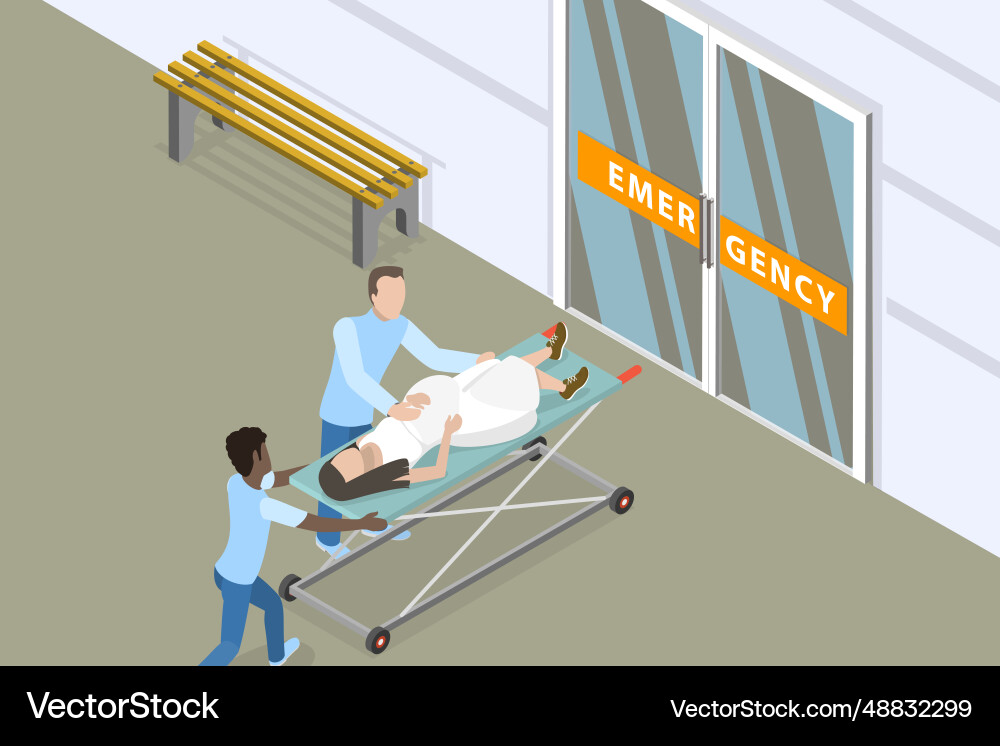 3d isometric flat conceptual Royalty Free Vector Image