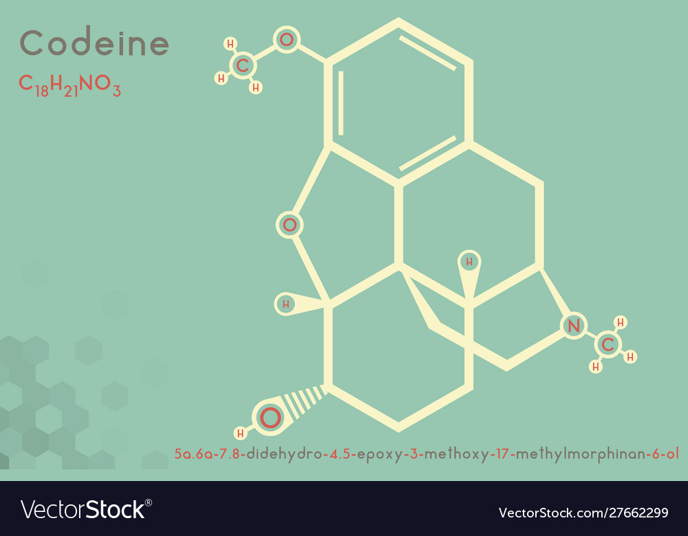 Infographic molecule codeine Royalty Free Vector Image