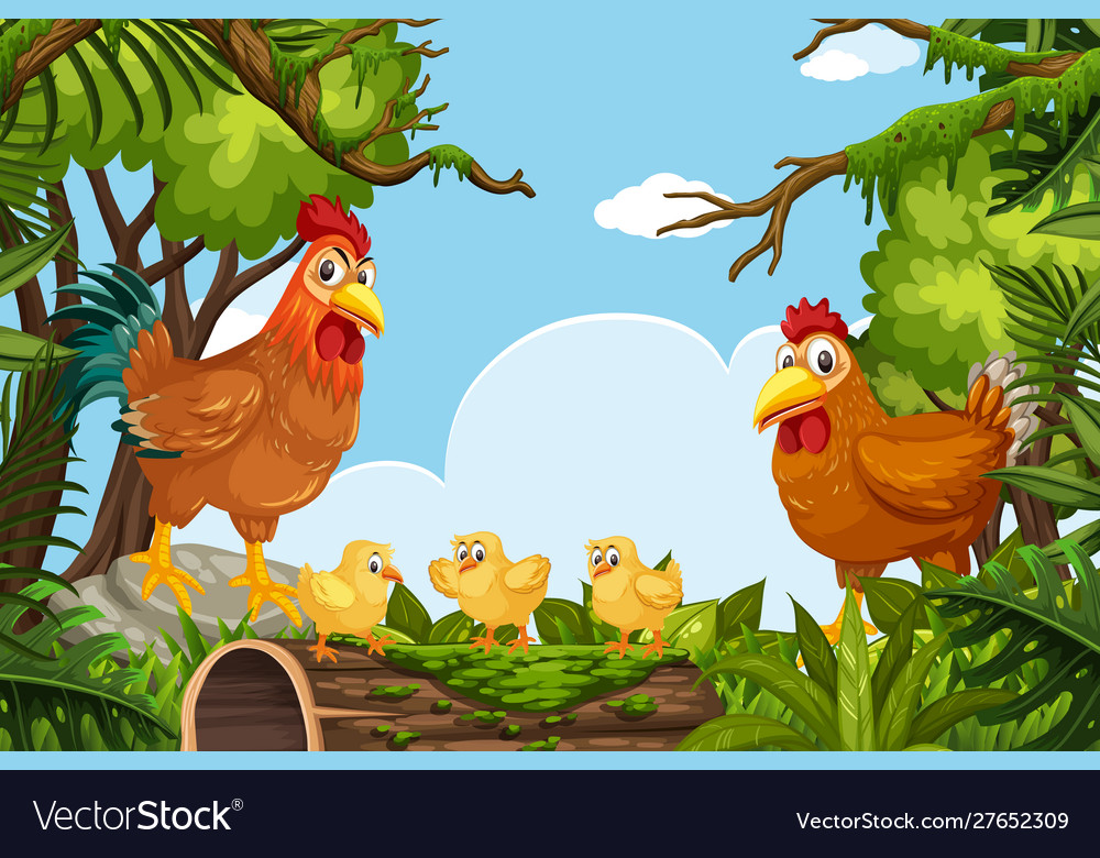 Chickens in jungle scene Royalty Free Vector Image