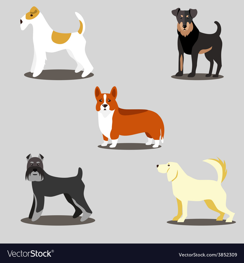 Dogs Set Of Icons Royalty Free Vector Image - Vectorstock