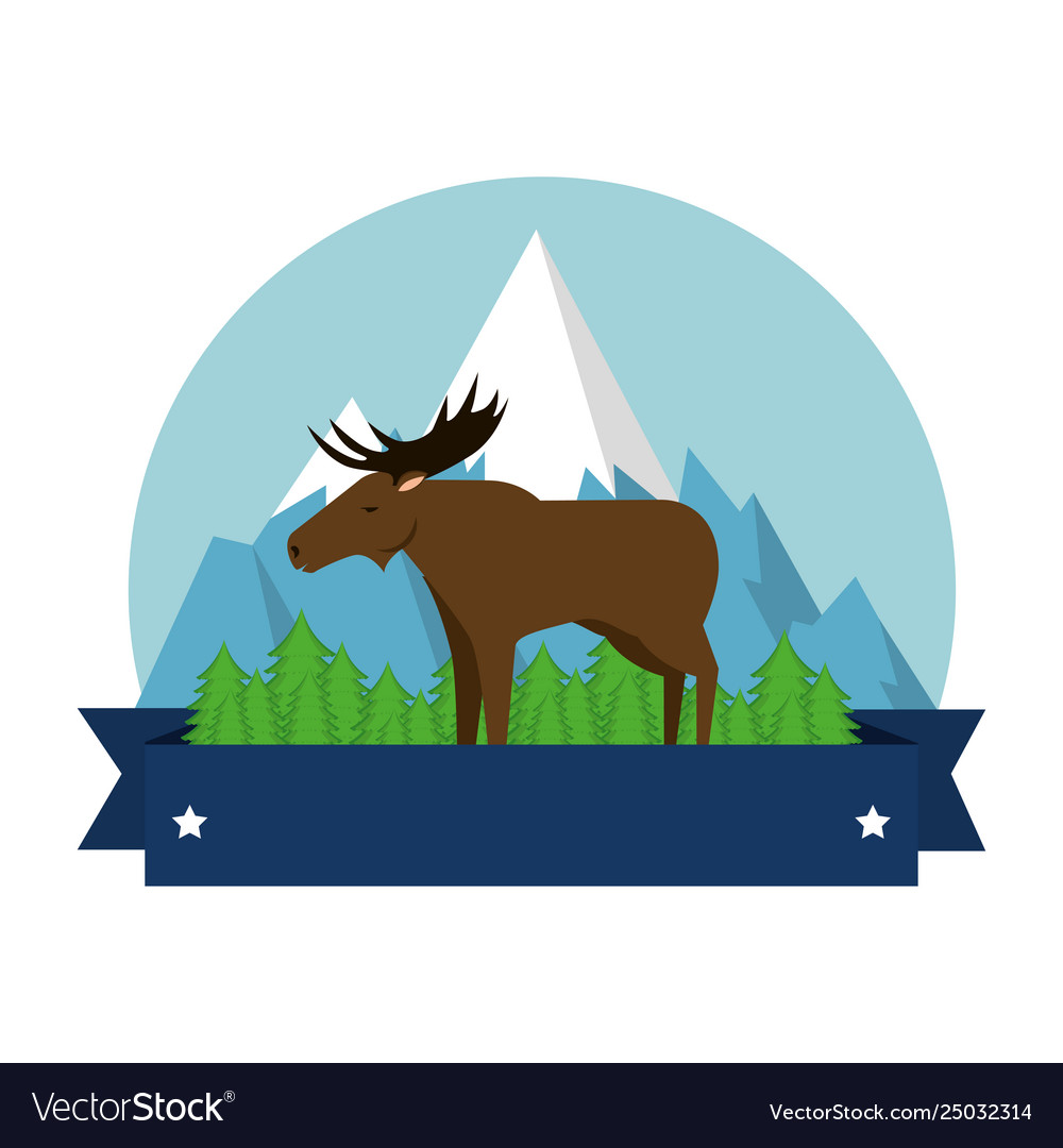 Canadian elk wild with mountains Royalty Free Vector Image