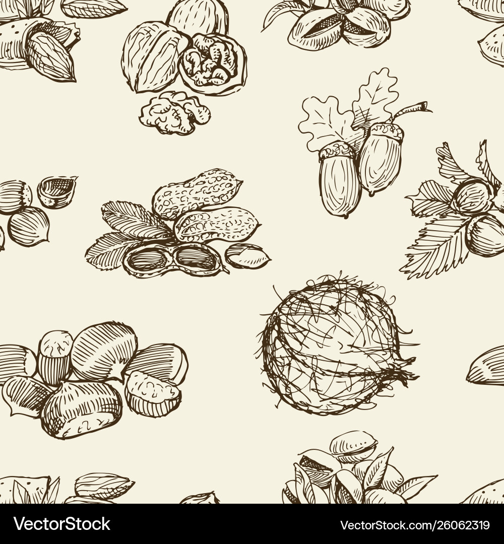 Pattern different nuts Royalty Free Vector Image