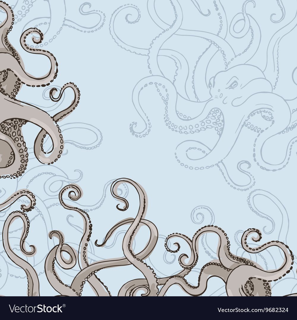 Octopus Kraken card or border with feelers Vector Image