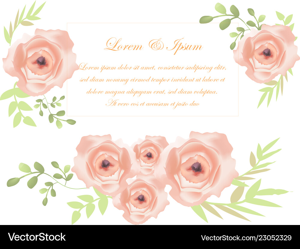 Cute sweet rose on wedding card Royalty Free Vector Image