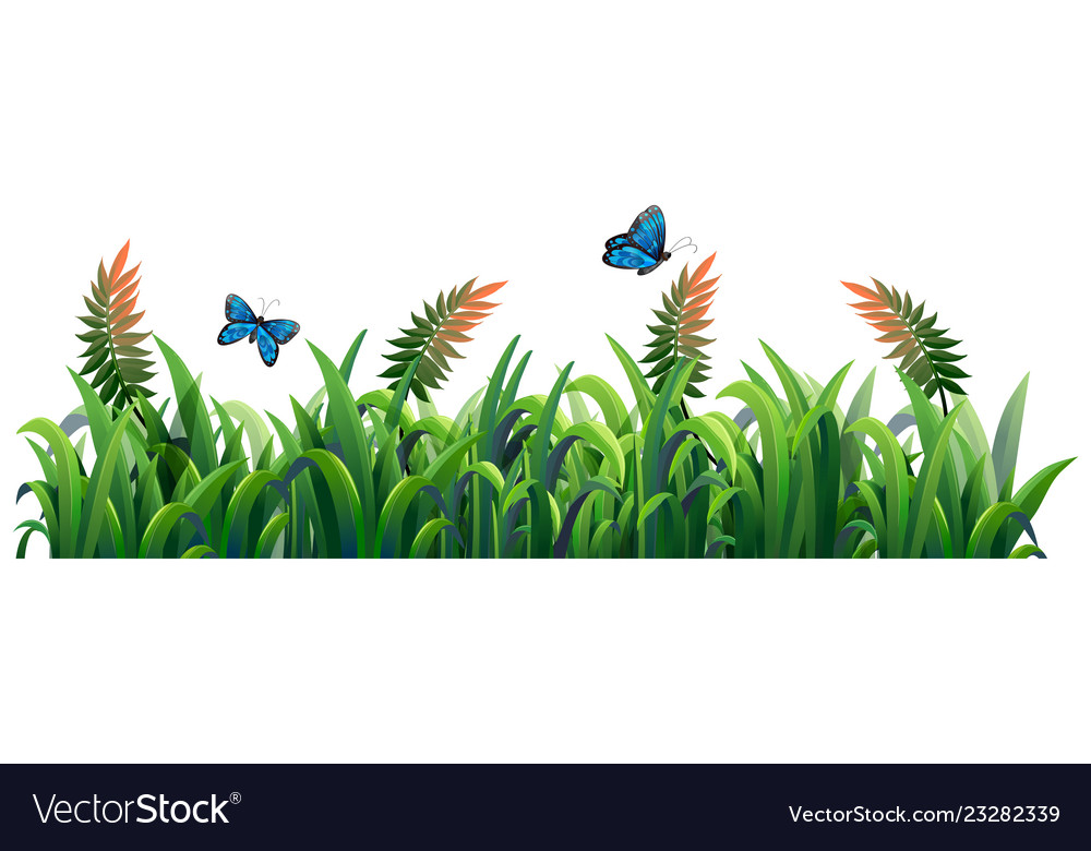 Flower and grass for decor Royalty Free Vector Image