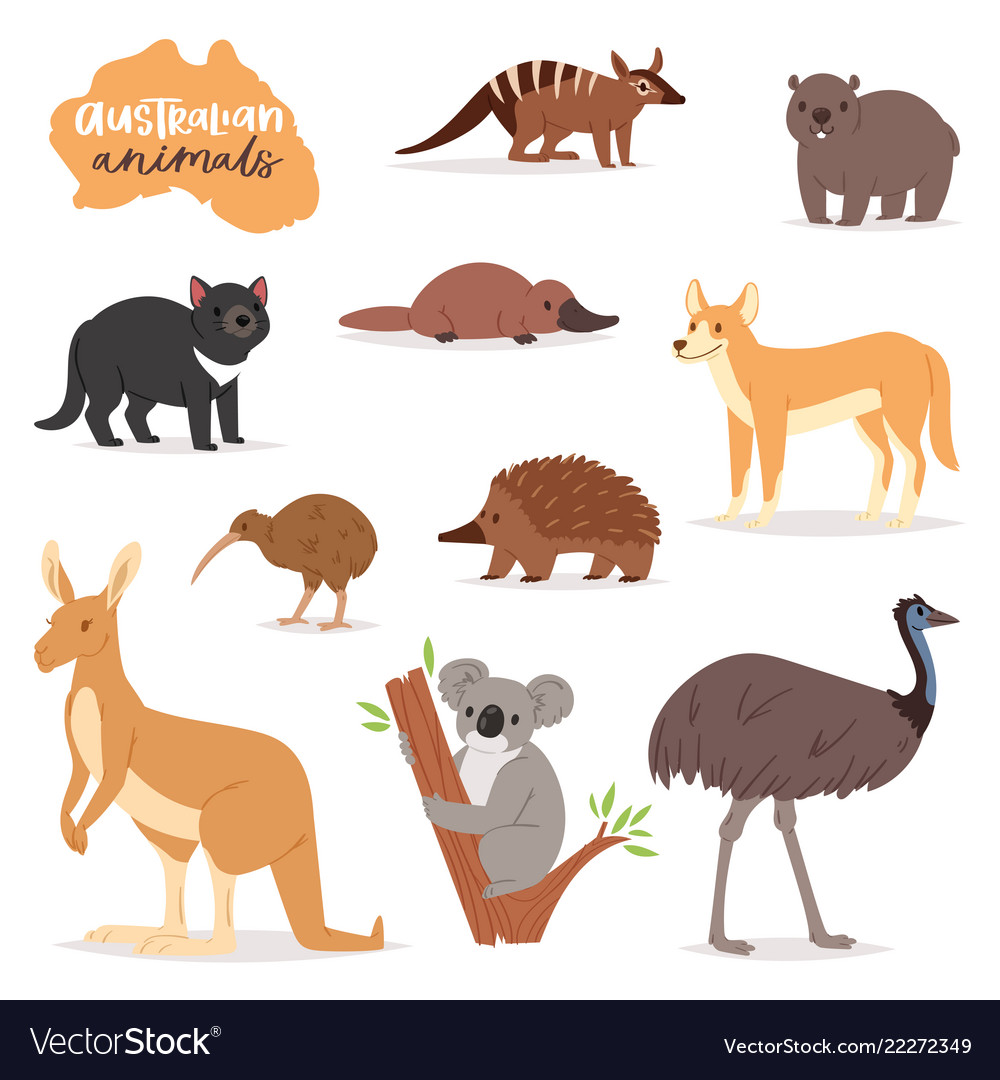 Australian animals animalistic character Vector Image