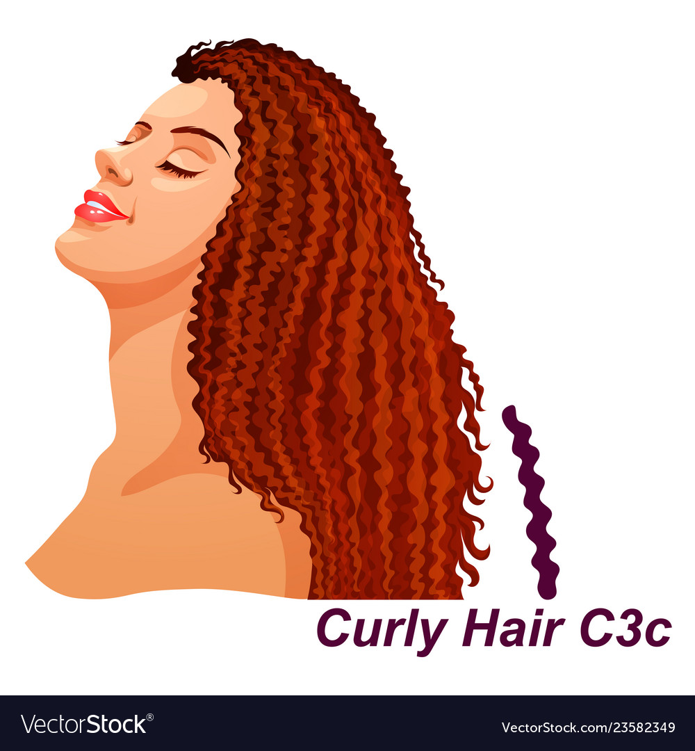 Girl With Luxury Long Curly Brunette Hairstyle Vector Image