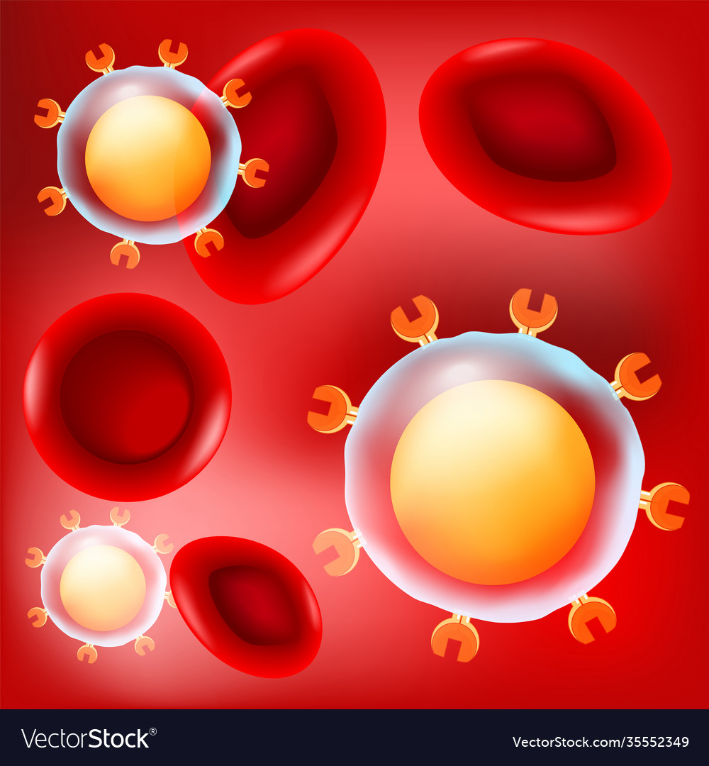 t-<b>cells</b> and <b>red</b> <b>blood</b> <b>cells</b> on <b>red</b> background. vector Illustration easy edi...