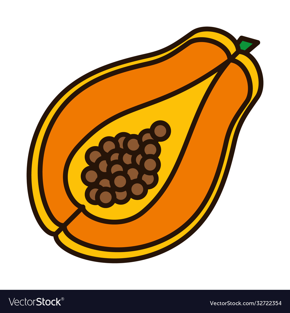 Papaya fruit line and fill style icon Royalty Free Vector
