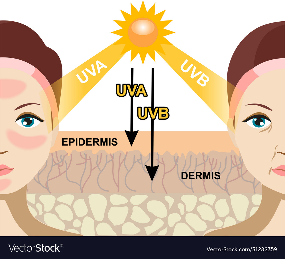 Difference radiation 2 types in sunlight Vector Image