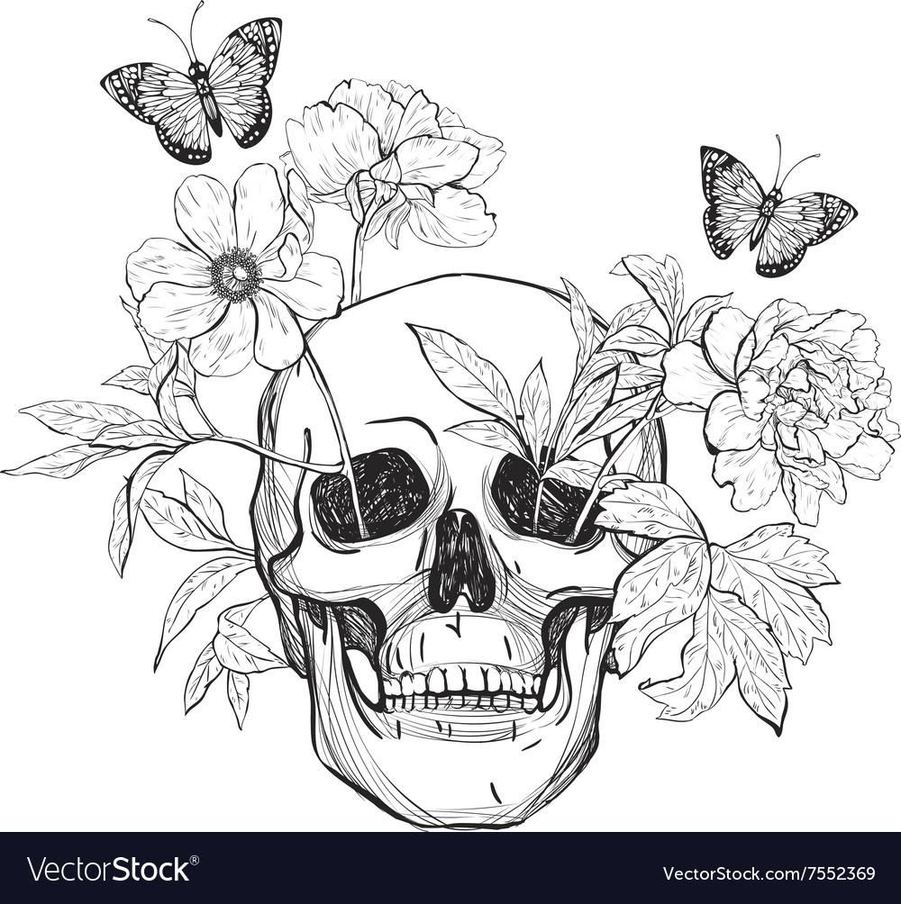 Download Skull flowers and butterfly Royalty Free Vector Image