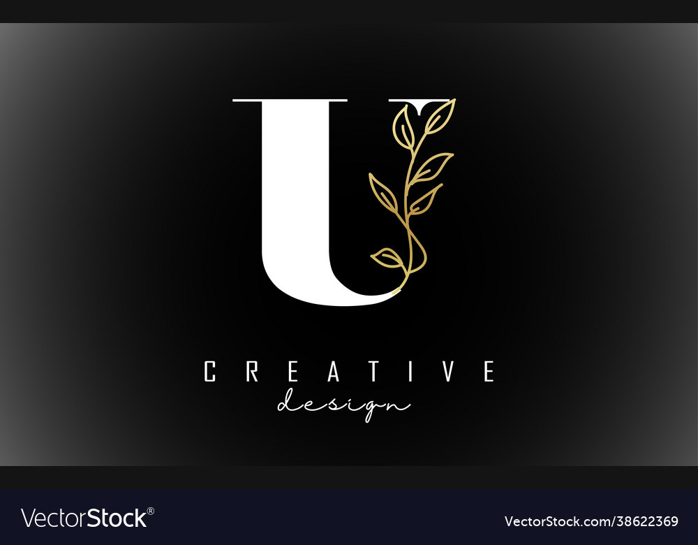 White u letter logo design with golden leaves Vector Image