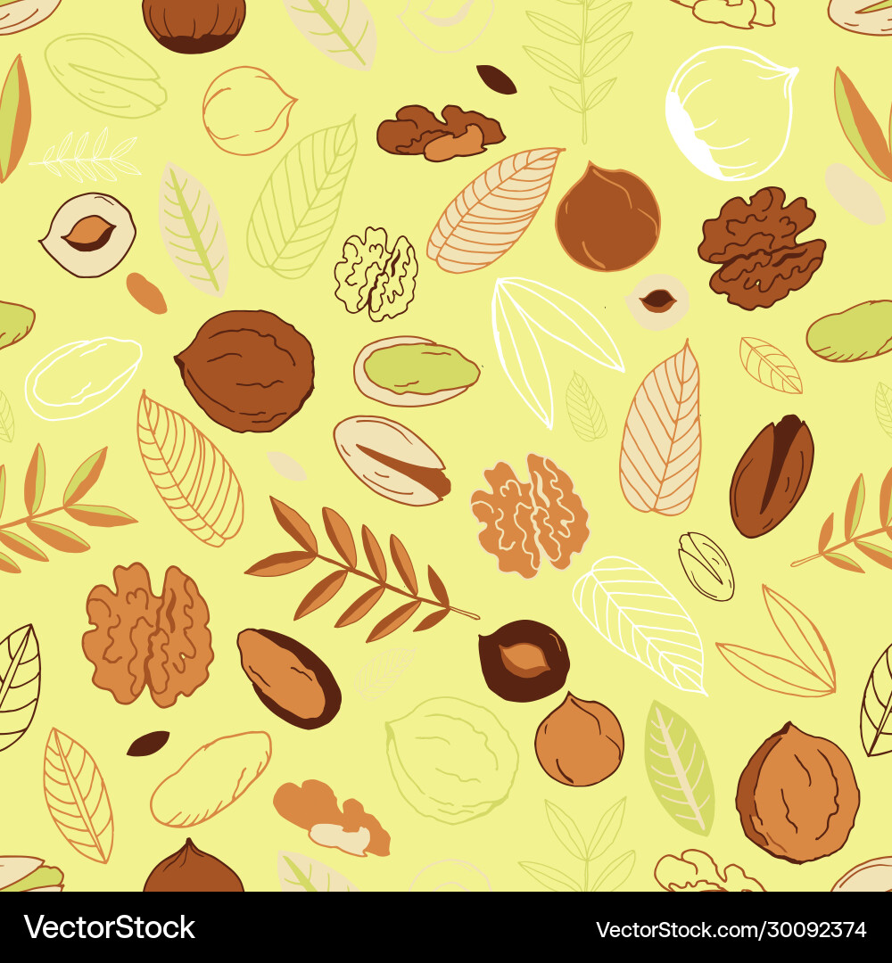 Seamless pattern with walnuts pistachios Vector Image