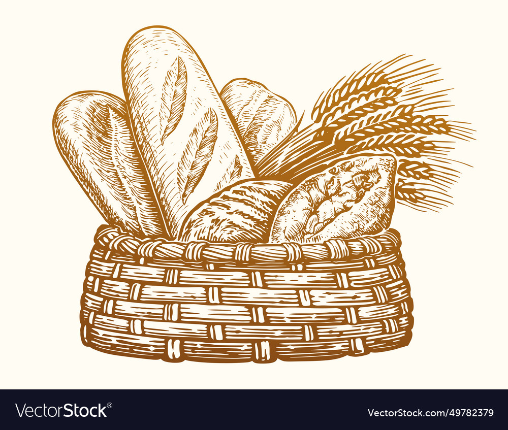 Bakery products in wicker basket fresh baked Vector Image