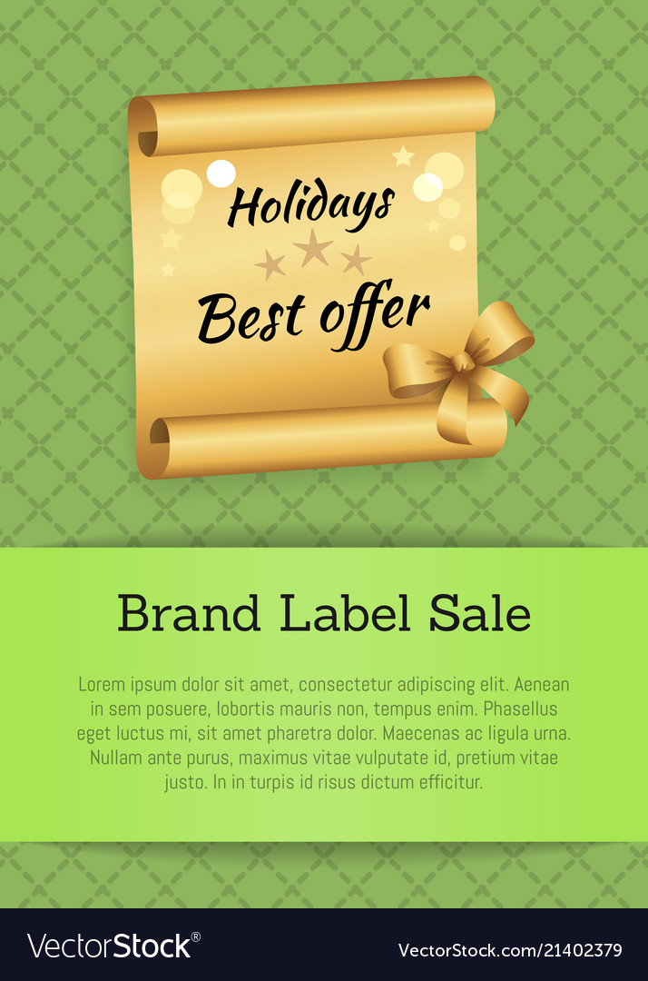 Holidays best offer poster Royalty Free Vector Image