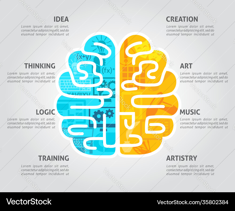 Brain concept flat Royalty Free Vector Image - VectorStock