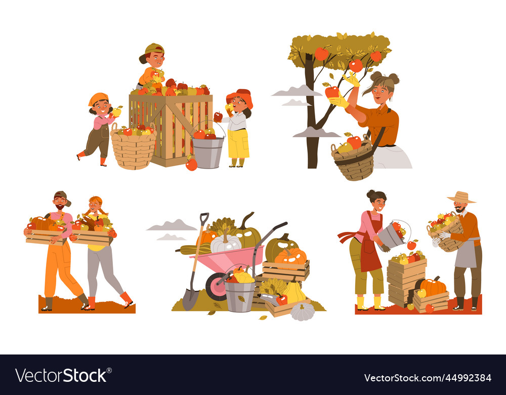 People harvesting gathering ripe agricultural Vector Image