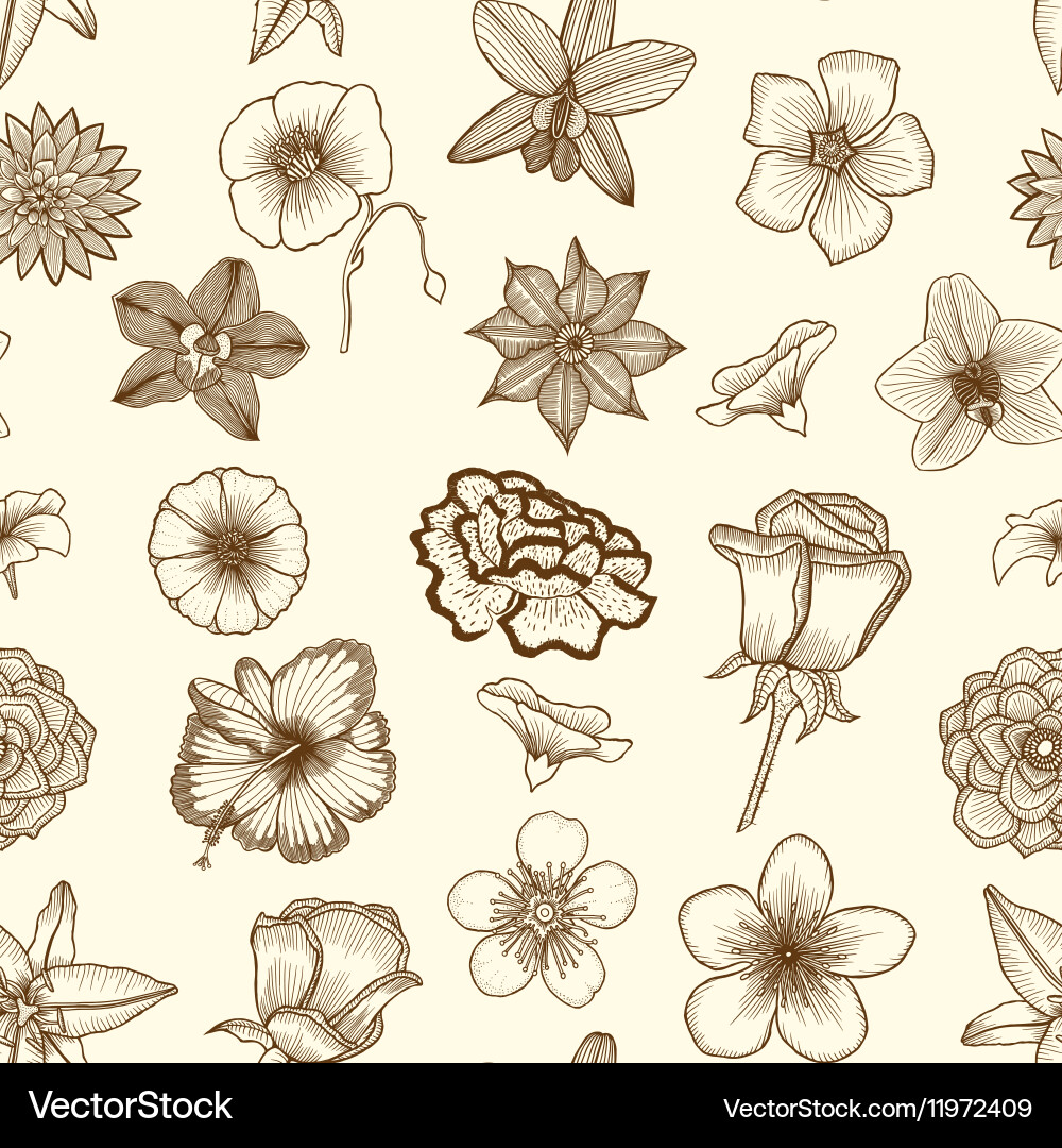 Doodle flowers seamless pattern Royalty Free Vector Image