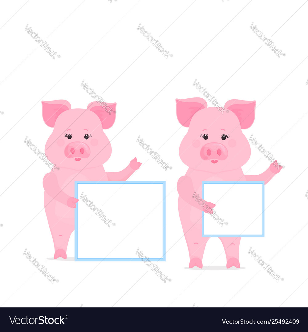 Pig hold a blank sign clean poster empty poster Vector Image