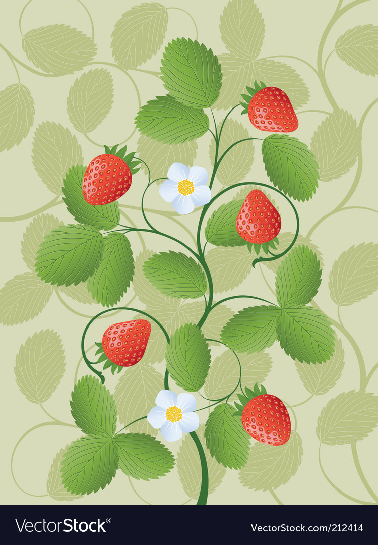 Strawberry Royalty Free Vector Image - VectorStock