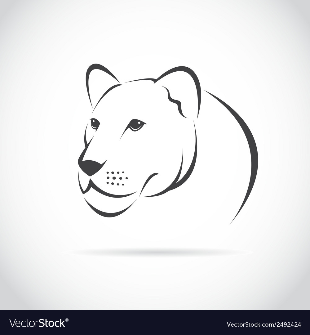 Image Of An Female Lion Head Royalty Free Vector Image