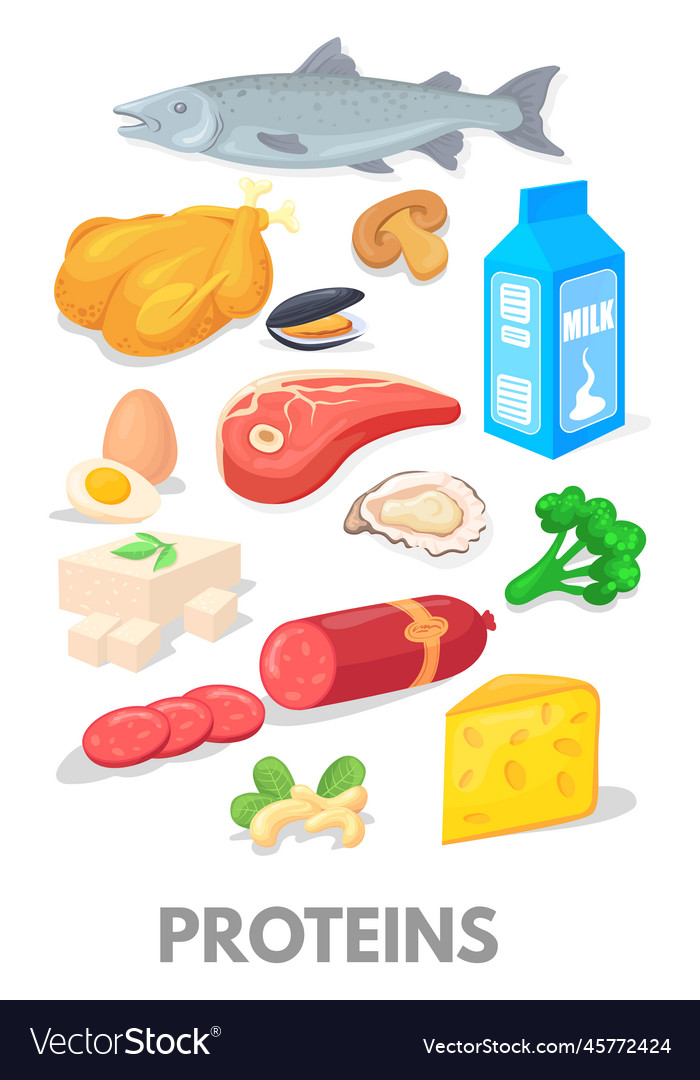Proteins Cartoon Icons Healthy Diet Food Chart Vector Image