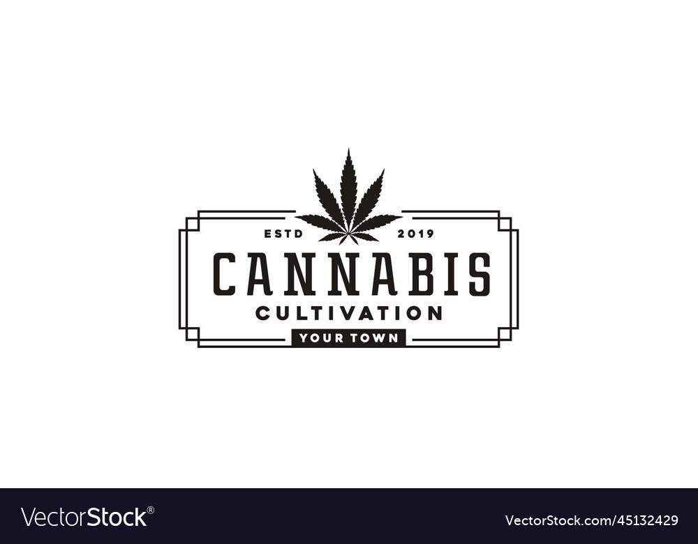 Marijuana cannabis weed leaf vintage stamp logo vector image Marijuana cannabis weed leaf vintage stamp logo