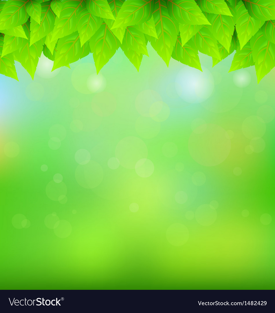 Natural green background Royalty Free Vector Image