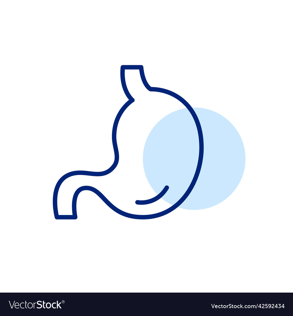 Human stomach icon organ anatomy and healthcare Vector Image