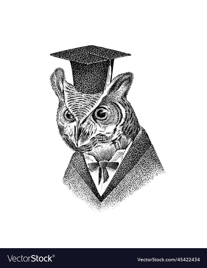 Scientist owl character in a hat hand drawn Vector Image