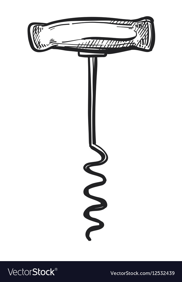 Old fashioned corkscrew freehand pencil drawing Vector Image