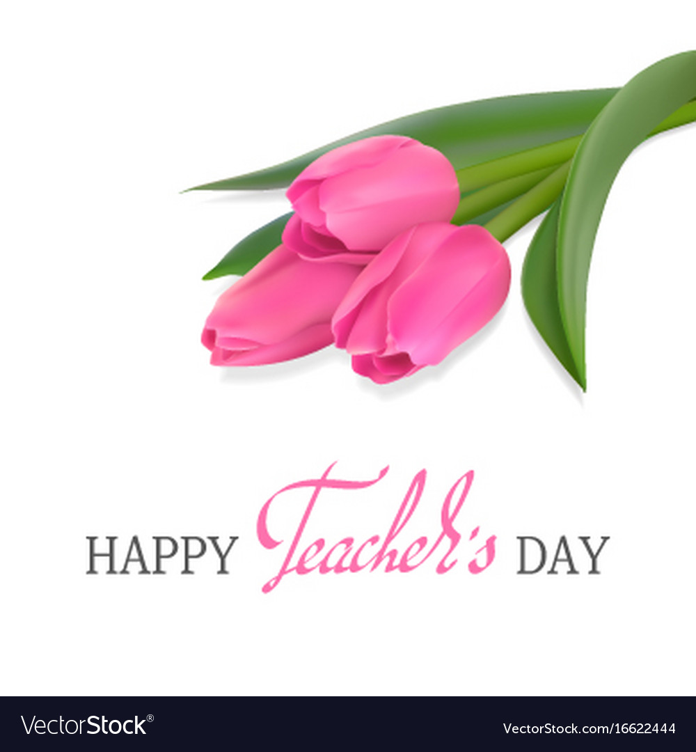 Teachers day card with tulips Royalty Free Vector Image