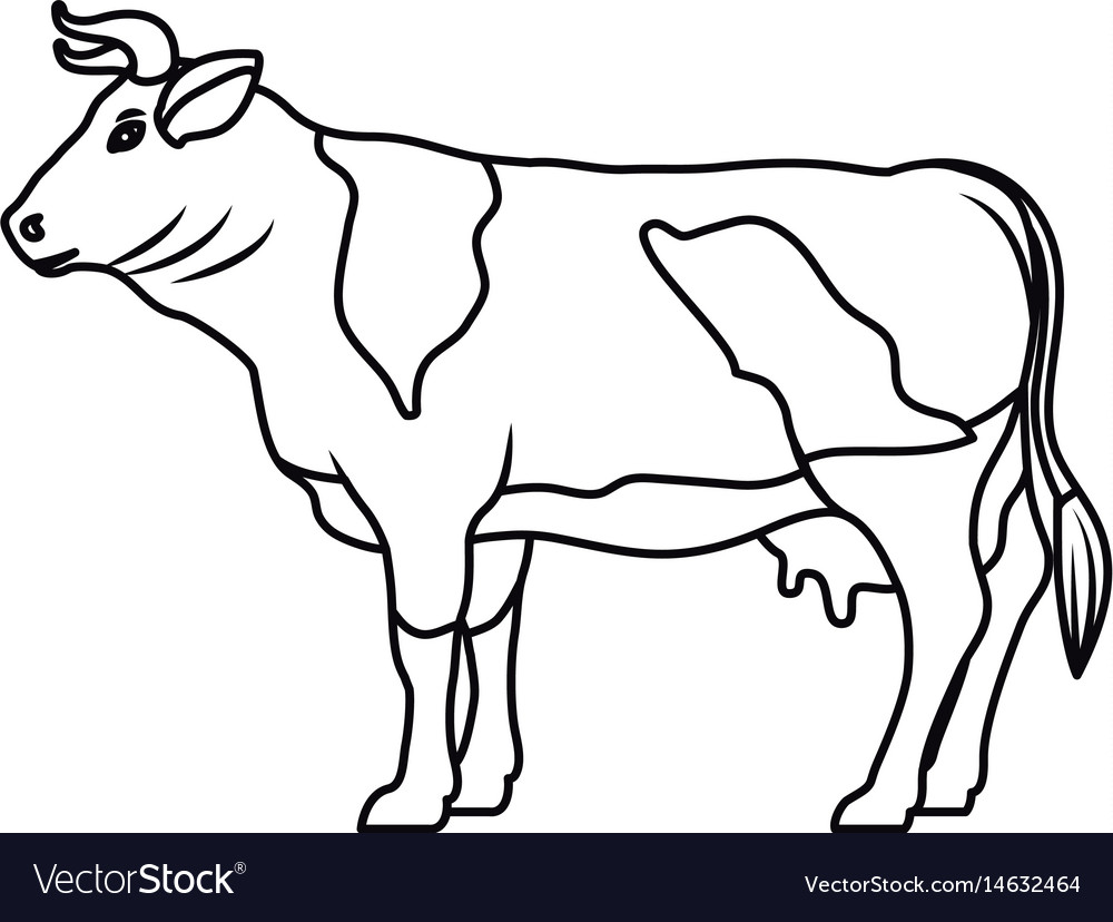 Cow livestock animal design Royalty Free Vector Image