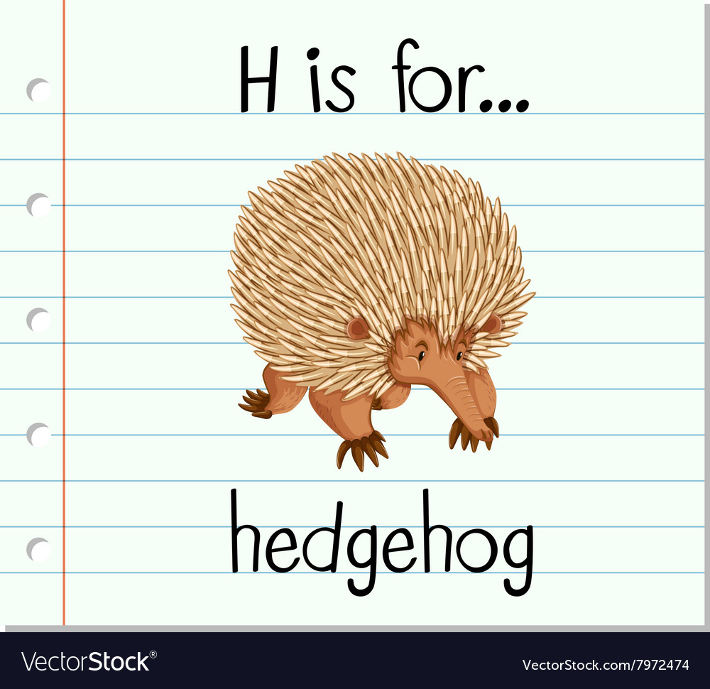 Flashcard letter h is for hedgehog Royalty Free Vector Image