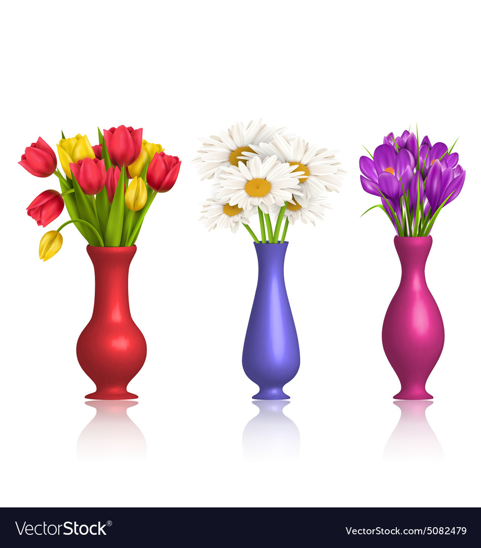 Tulips Chamomiles And Crocuses In Vases With Vector Image