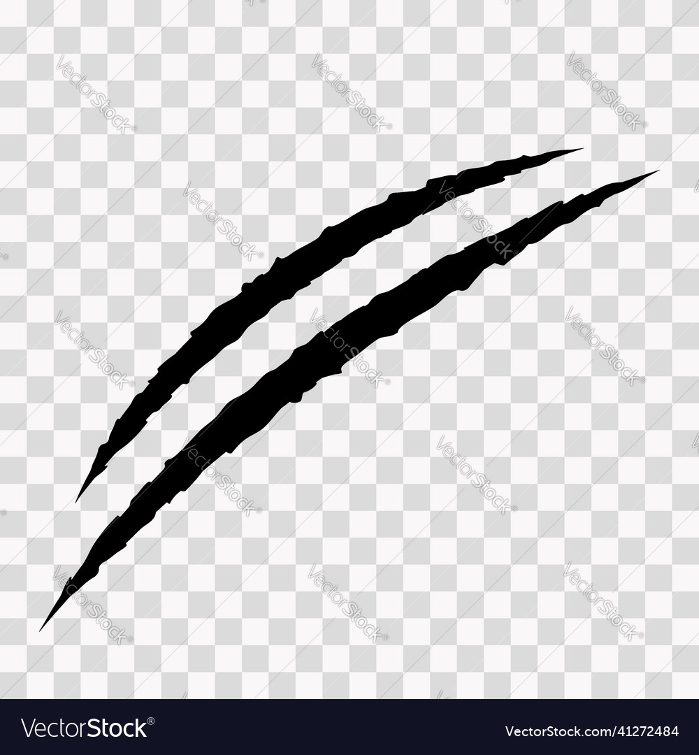 Cat Scratches Animal Claw Marks In Black Monster Vector Image