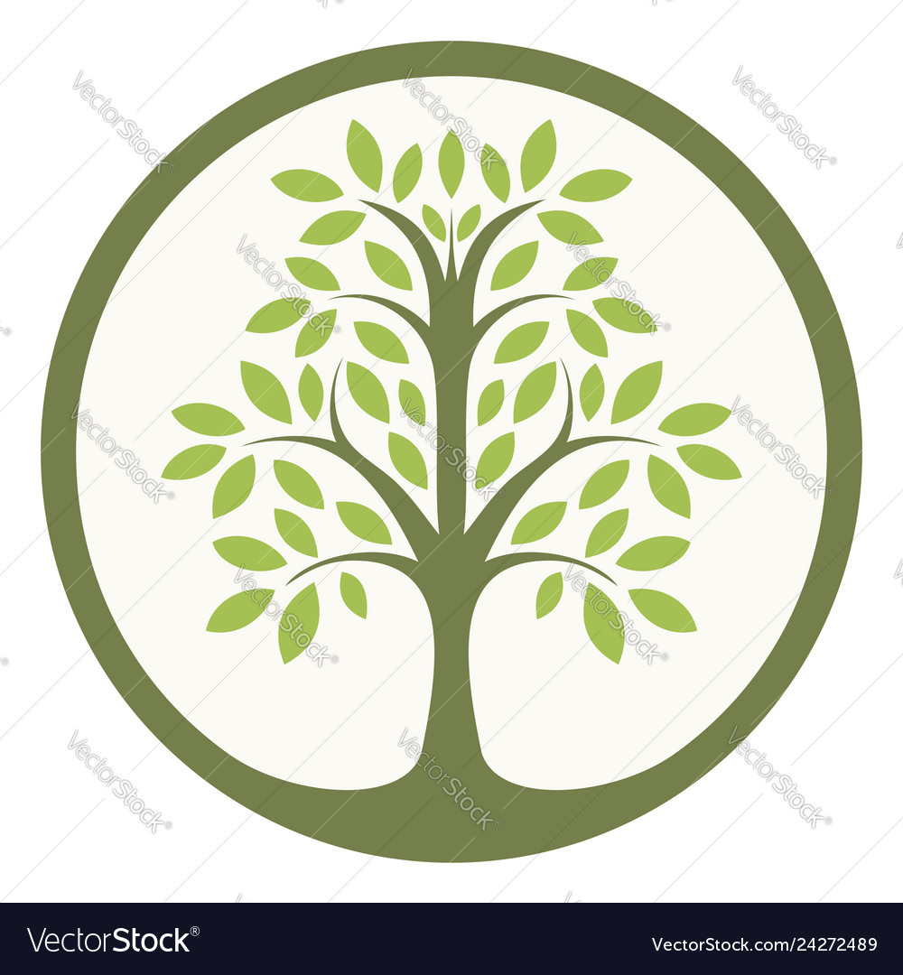 Tree Of Life Royalty Free Vector Image VectorStock Tree Of Life Vector 24272489