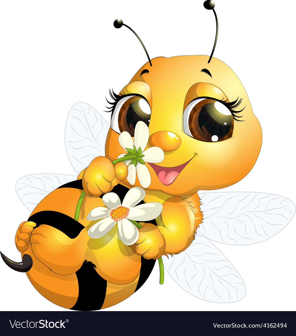 Beautiful bee Royalty Free Vector Image - VectorStock