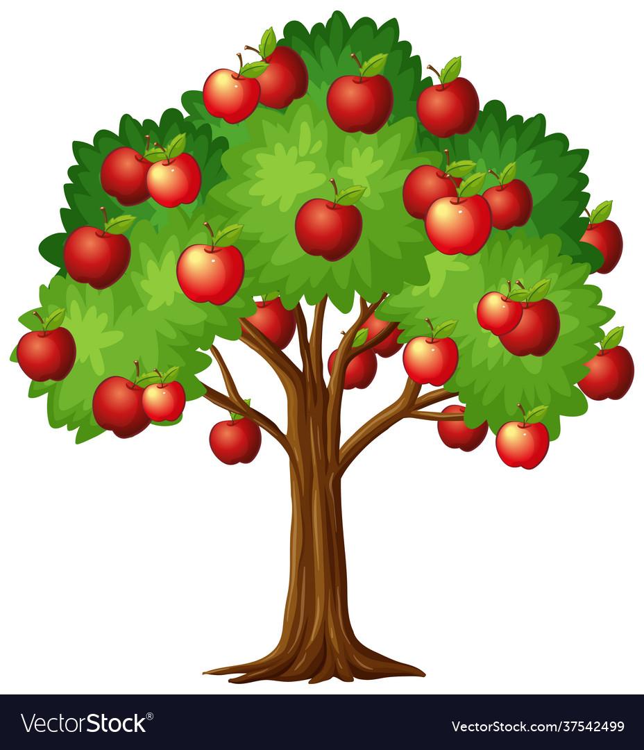 Apple tree isolated on white background Royalty Free Vector