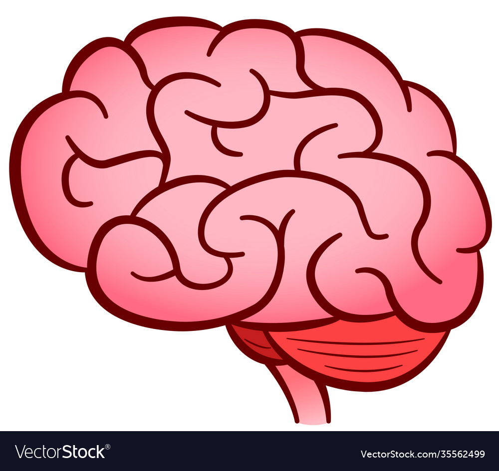 Human brain isolated design Royalty Free Vector Image