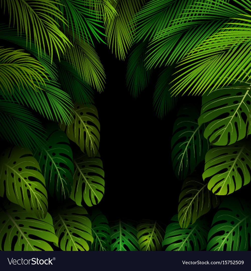 Exotic pattern with tropical leaves on a black bac