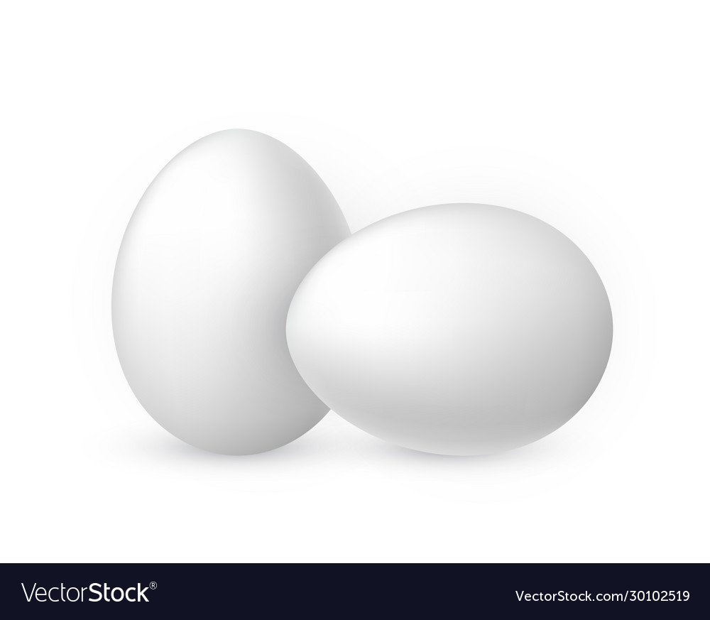 White egg on background design template Royalty Free Vector