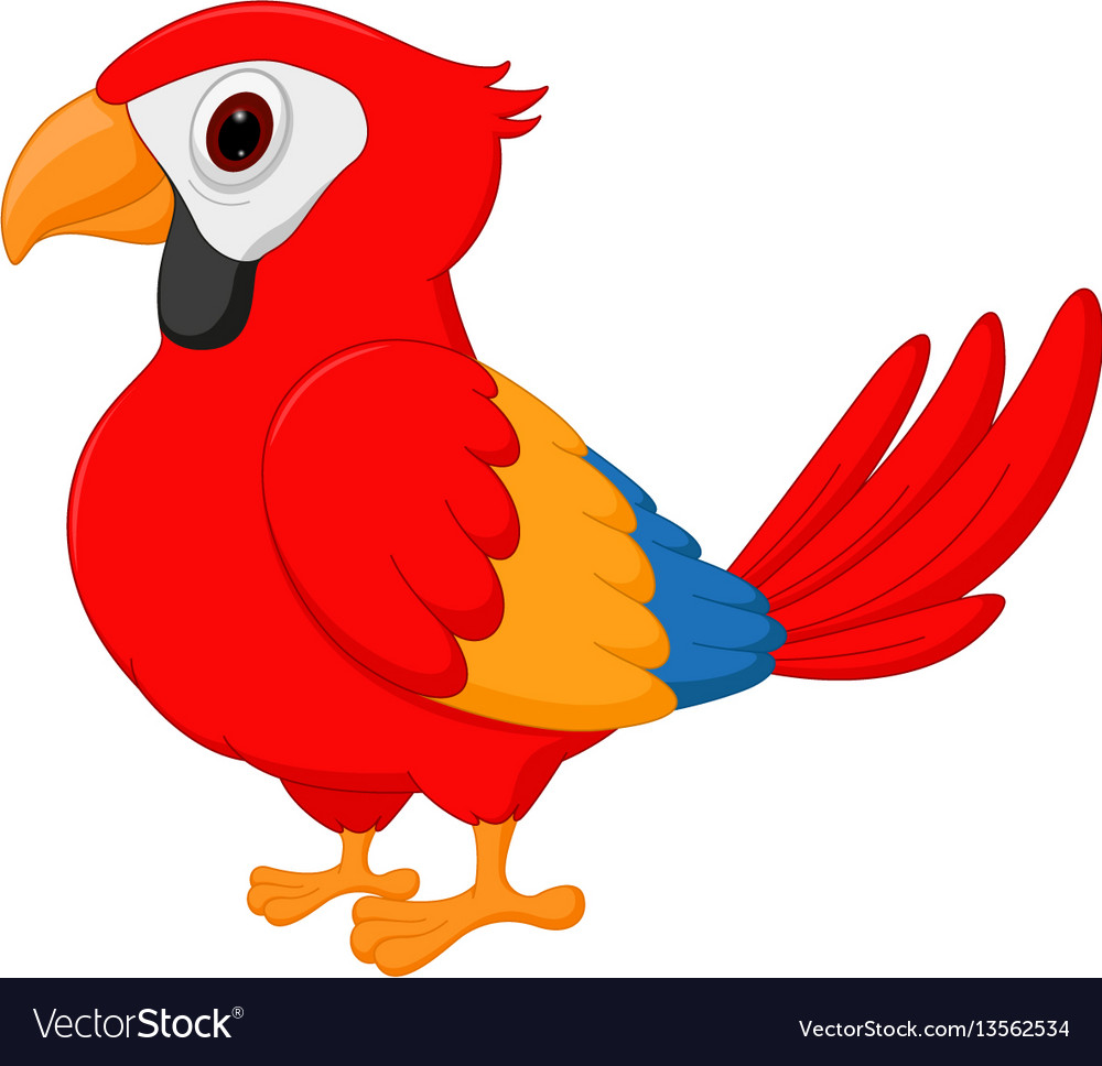 Macaw bird cartoon Royalty Free Vector Image - VectorStock