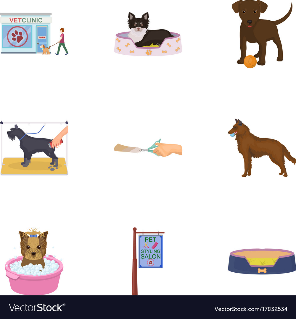 VectorStock
