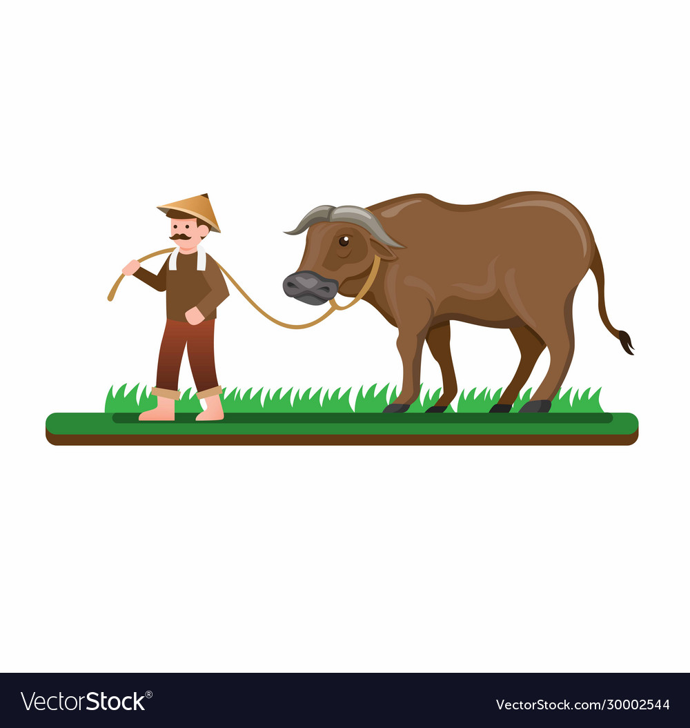 Farmer man walking with his buffalo to rice field Vector Image