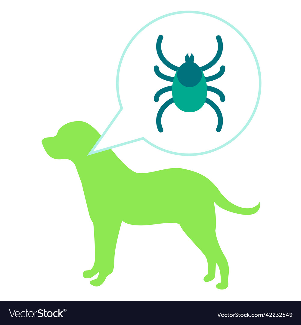 Babesiosis oder Piroplasma Hund Parasiten