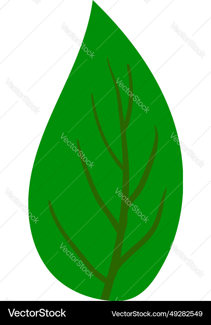 Tree leaf Royalty Free Vector Image - VectorStock
