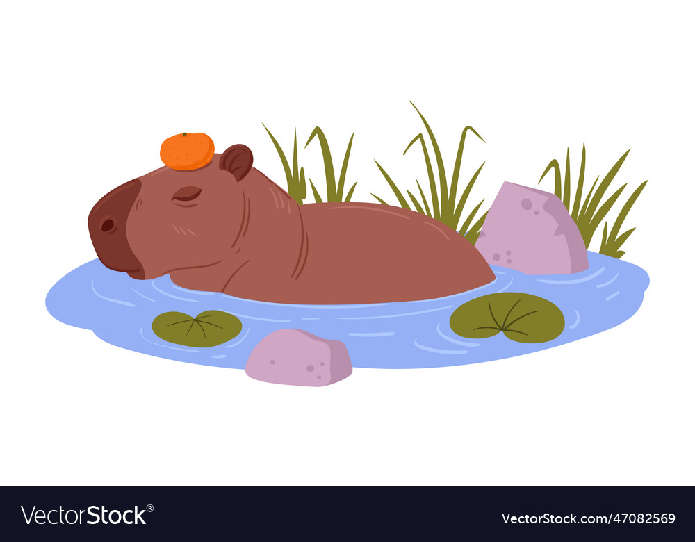 Premium Vector  Cute capybara cartoon vector illustration